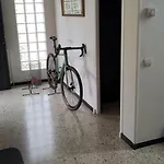 Can Patllari