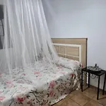 Sancti Petri