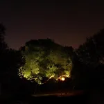 Tulpa Cadiz
