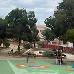 Petirrojo