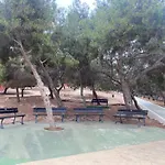 Petirrojo