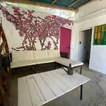 CASA RURAL CON PISCINA Viajar con mascota