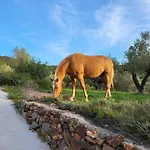 Masia De Matuta