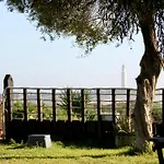 Vista Al Faro