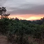 A Parrula, Mar, Rio Y Montana