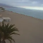 Salinasol