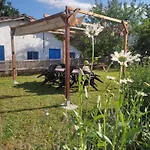 Zikoinaren Txokoa