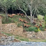 Casa Rural Cal Pages Montseny