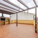 Hort De La Cinteta