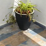 Casa Este