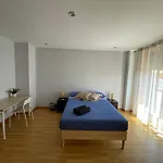 Apartamento Decus vita