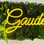 Gaude - Apartamentos Birdie