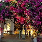 Finca Duende - Adults Only