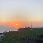 Mangos Mar B