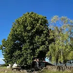 Finca En El Monte De Bejar