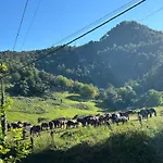 El rincón de Voto