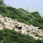 Eguzkitze Alojamiento Rural