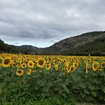 Hotel Rural Rio Molinar