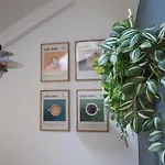 Mirador De Guadarrama - Luxe Design