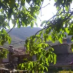 Madre Terra