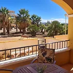 Palmerita 5