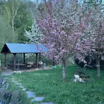 Casa Begona