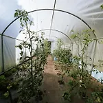 Casa a Pichona