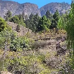 Casa El Pino B