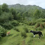 La Casita