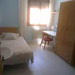 Residencia De Estudiantes Osca