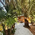 Palm Garden Valencia