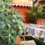 Casa De La Jara By Sierra Viva