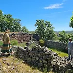 Camino De Hierro