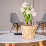 Santiago Tower Aire Ac Casco Antiguo By Apartamentos Logrono