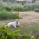 Casa Rural La Recuera