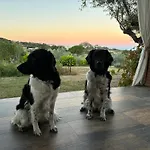 Casa Rural La Recuera