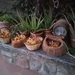 Cal Panxeta