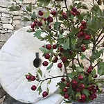 Hotel Gredos Maria Justina