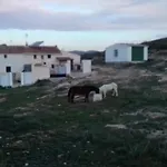 La Era