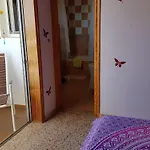 The Magic Dragonfly!
