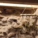 Casita Con Encanto Tranquilidad Villavieja Del Lozoya Wi-Fi En Sierra De Madrid Y A 50 Minutos De Capital