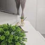 Barcelona, Apartamento De 1 Habitacion