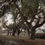 Finca El Cortiñal