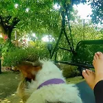 Basaula Berri Alojamiento Rural