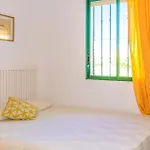 Residencial Torrenueva