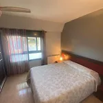 Apartamento Cinca Pirineo en Aínsa