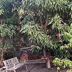 Casa Mamei