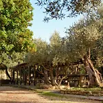 Camping Alquezar