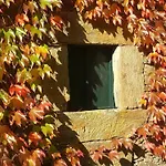 Pazo \