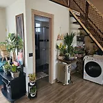 Mini Villa Rox